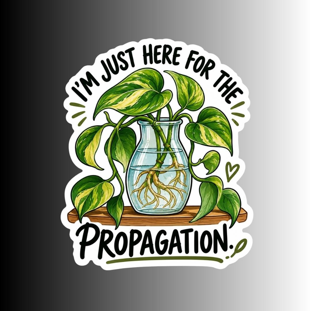 Vinyl Plant Sticker - I'm Just Here For The Propagation - Pothos
