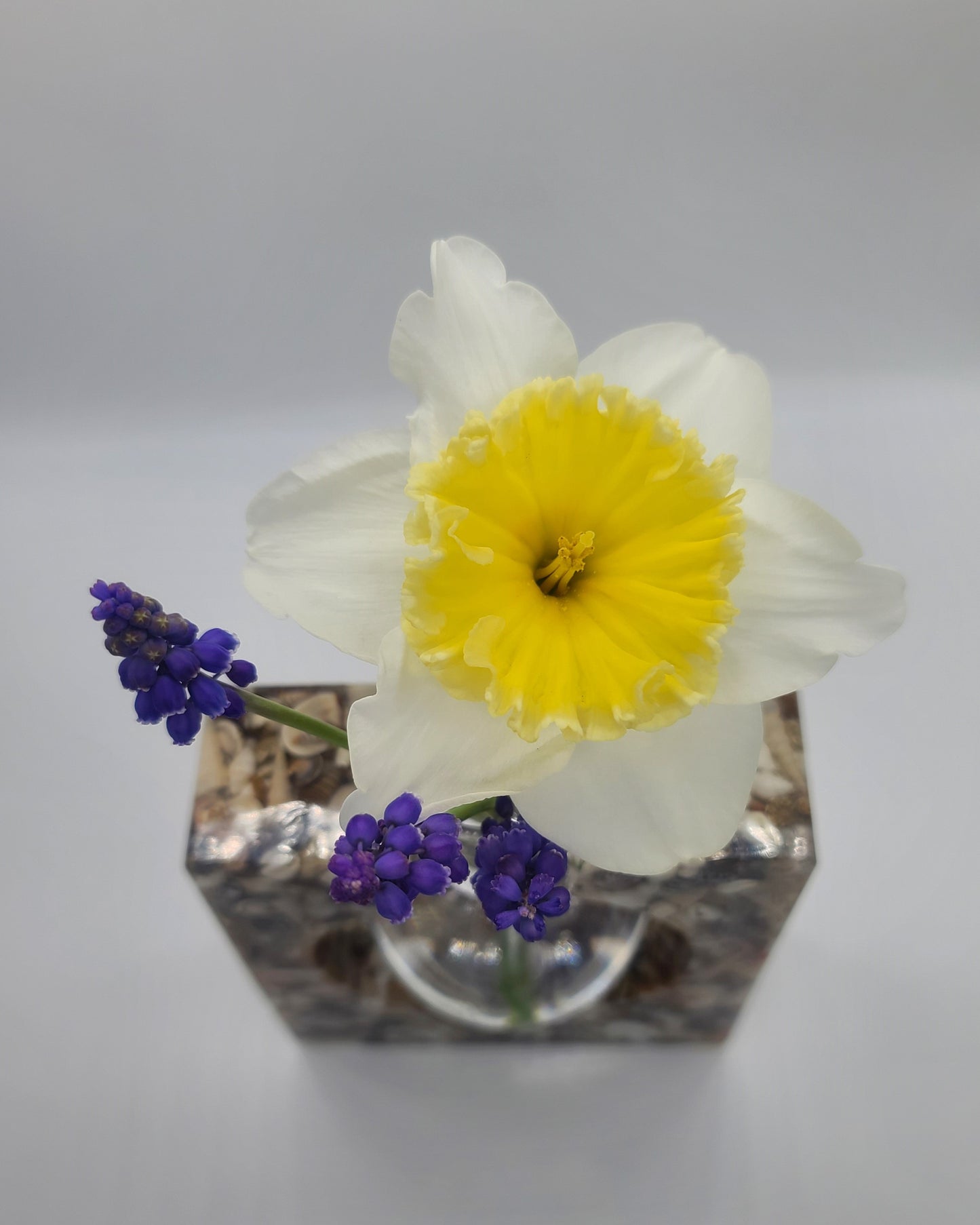 Square Propagation Flower Vase Made with Resin and Seashells