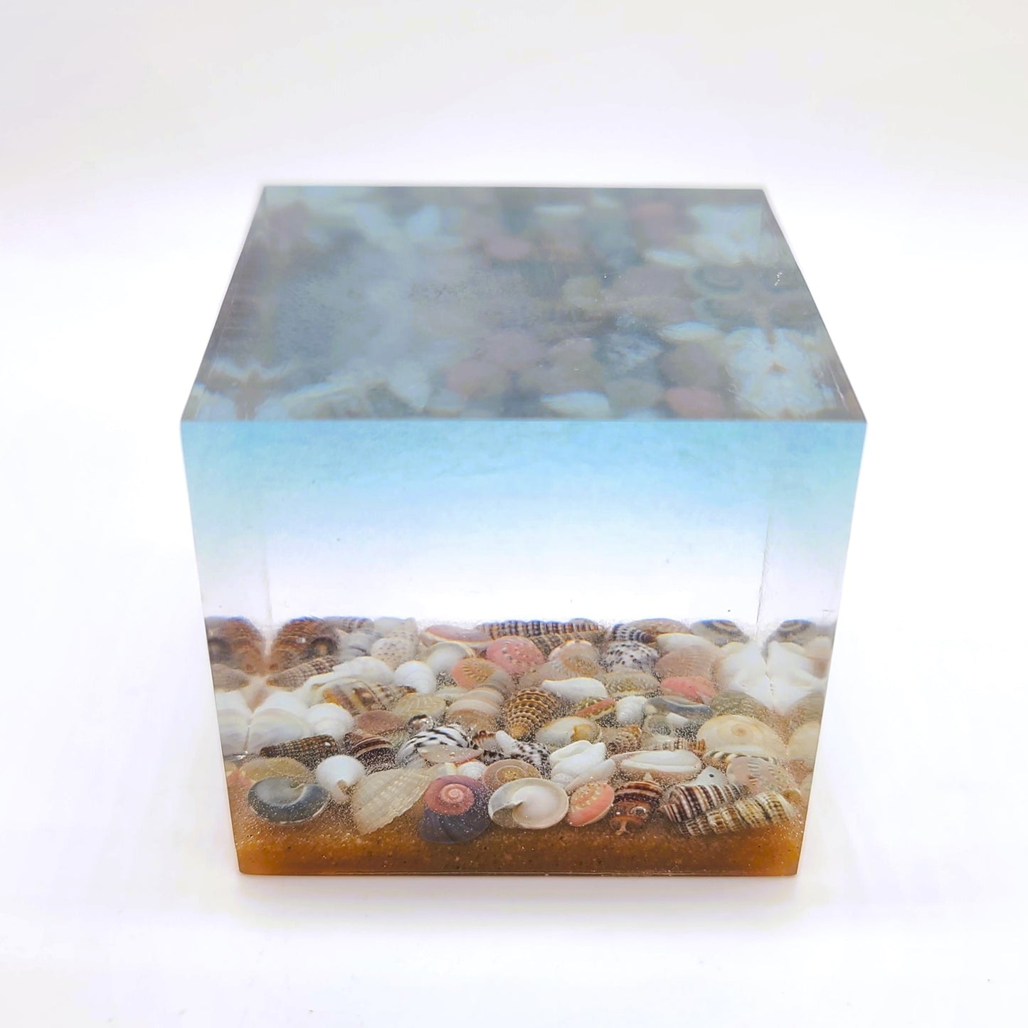 4" Resin Ocean Themed Cube - Eco-Friendly