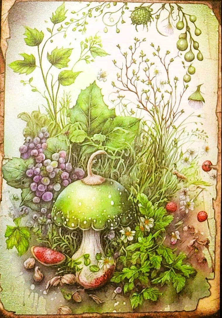 Forest Green Witches-Set of 10 4 "x 6" Decoupage Wood Panels
