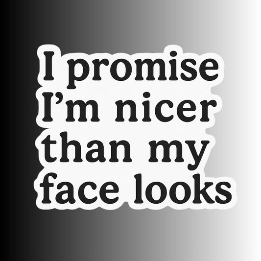 "I promise I'm nicer than my face looks" Sarcastic Sticker