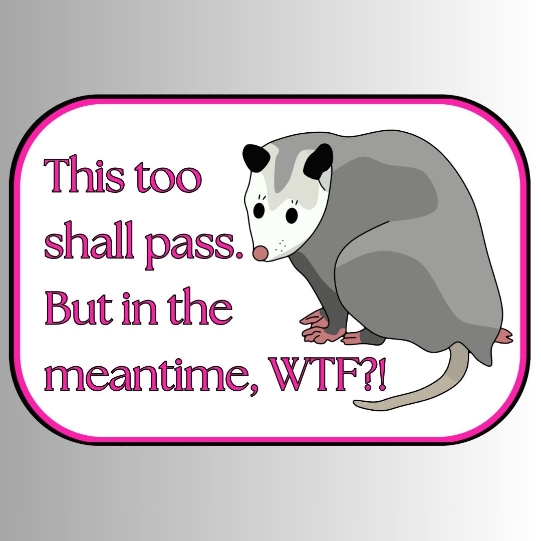 "This Too Shall Pass. But In The Meantime, WTF?!" Sarcastic Sticker