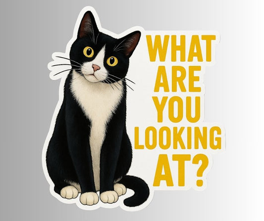 "What Are You Looking At" Sarcastic Funny Cat Sticker