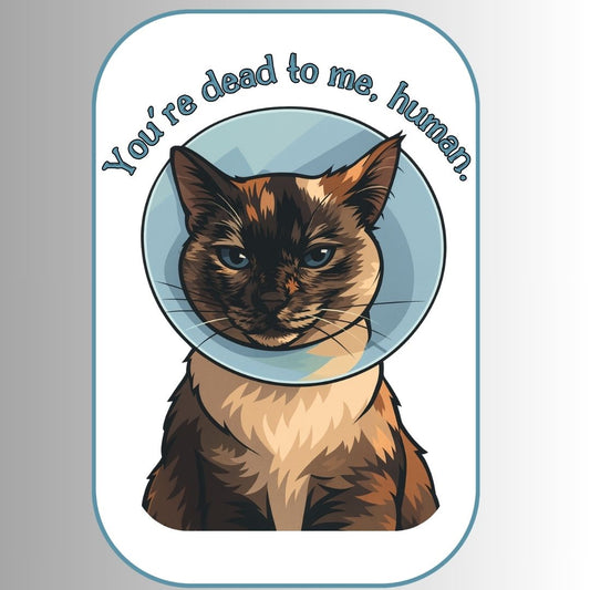 "You're dead to me, human." Sarcastic Cat Sticker